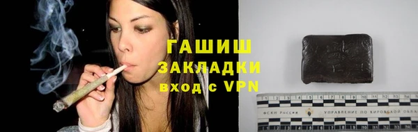 гидра Майский